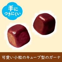 チョコレート菓子 ガーナ　ポップジョイ　37g 1セット（1個×6）