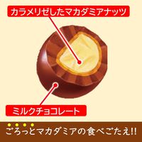 チョコレート菓子 マカダミアチョコレート　ポップジョイ　カラメリゼ　　34g 1セット（1個×12）