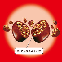 チョコレート菓子 クランキービッツ　63g 1セット（1個×12）