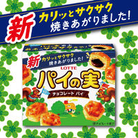 チョコレート菓子 パイの実　73g 1セット（1個×12）