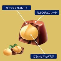 チョコレート菓子 マカダミアチョコレート　9粒入 1セット（1個×12）