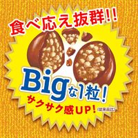 チョコレート菓子 クランキー　ビッグパウチ　72g 1セット（1個×12）
