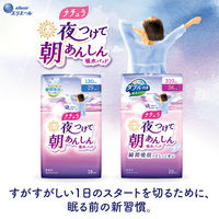 ナチュラ夜つけて朝あんしん 吸水パッド 36cm 310cc 1セット（10枚入×6パック）尿もれ 軽失禁 エリエール 大王製紙