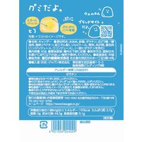 グミ 食べきりサイズ グミだよ。 乳酸菌ドリンク味 60g 1セット（1個×12）