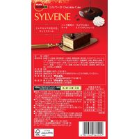 チョコレート菓子 食べきりサイズ シルベーヌ 6個 1セット（1個×10）