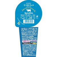 チョコレート菓子 じゃがチョコグランデ　リッチミルク 48g 1セット（1個×6）