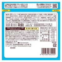 チョコレート菓子 食べきりサイズ ひとくちラングレイス 47g 1セット（1袋×10）