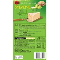 チョコレート菓子 食べきりサイズ シルベーヌ　洋梨のタルト風味 6個入 1セット（1袋×3）