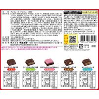 チョコレート ミニビットアソート 102g 1セット（1個×6）