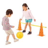 エバニュー カラースティック120(2色4本組) 00266762 1本（直送品）