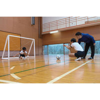 エート rotolo(ロトロ) サウンドボール 00285523 1個（直送品）