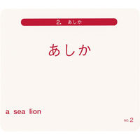 鈴木出版 ことば遊び絵カード 動物 00285545 1枚（直送品）