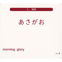 鈴木出版 ことば遊び絵カード 自然・場所・行事(屋外) 00285547 1枚（直送品）