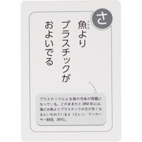 合同出版 世界の気候変動かるた 00333603 1個（直送品）