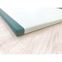 三和製作所 樹脂製ユニット畳 ココゴロント 1畳 00351485 1枚（直送品）