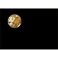 教育技術研究所 トレーニングフラッシュカードどうぶつあて 00364444 1組（直送品）