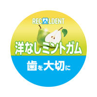 ガム リカルデント　洋なしミントガムボトル 1個