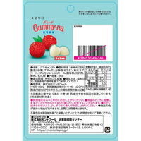 グミ 食べきりサイズ グミーナ　食物繊維 1セット（1個×10）