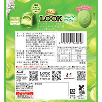 チョコレート菓子 プレミアムルック　シャインマスカット　パウチ　41g 1セット（1個×12）