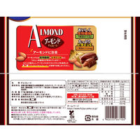 17粒アーモンドチョコレート 1セット（1個×12）