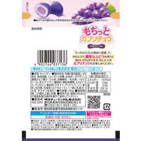 チューイングキャンディ　駄菓子 子ども向けお菓子 もちっとガブリチュウぶどう 35g 1セット（1個×10）