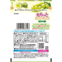 【アウトレット】チューイングキャンディ　駄菓子 子ども向けお菓子 もちっとガブリチュウマスカット 35g 1セット（1個×10）
