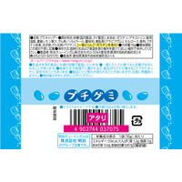 グミ　駄菓子 子ども向けお菓子 プチグミ　ラムネ 1セット（1個×24）