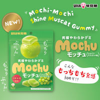 グミ 食べきりサイズ モッチュ　シャインマスカット 1セット（1個×20）