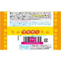 グミ　駄菓子 子ども向けお菓子 プチグミ　みかん 1セット（1個×12）