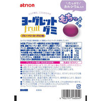 グミ 食べきりサイズ ヨーグレットグミ　フリュイブルーベリー 1セット（1個×20）