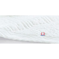 日繊商工 WB7006 菱つなぎギフト:感謝の熨斗付き WB7006-kansha 1個（直送品）