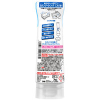 ジョイ W除菌 食器用洗剤 さわやか微香 逆さボトル 290mL 1セット(1個 ×20) P&G