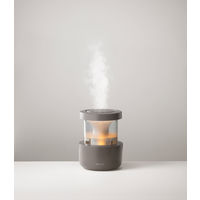 リズム MIST350 9YYA29RH84 1台