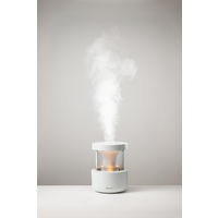 リズム MIST350 9YYA29RH08 1台