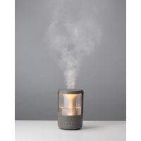 リズム MIST250 9YYA64RH84 1台