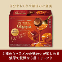 チョコレート菓子 プレミアムガーナ　トリュフ　キャラメルマリアージュ　49g 1セット（1個×6）