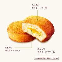 チョコレート菓子 カスタードケーキ　パーティーパック　9個入 1セット（1個×6）