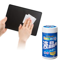 サンワサプライ  OAウェットティッシュ（液晶用） CD-WT4K2（直送品）