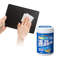サンワサプライ  OAウェットティッシュ（液晶用） CD-WT4KL2（直送品）