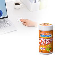 サンワサプライ  OAウェットティッシュ（強力タイプ） CD-WT6K2（直送品）