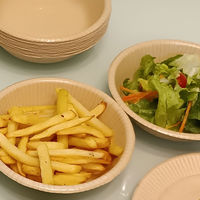 ペーパーウェア 未晒しパルプボウル 410ml 紙皿(紙ボウル) 4952893040952 1箱(10枚入/個×120個)（直送品）