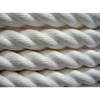 稲葉製鋼 ビニロンロープ 22mm×200m 1巻（直送品）