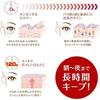 ピントアップ アイセラムR 15g 明色化粧品