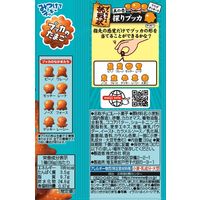 チョコレート菓子 プッカ塩ミルク 1セット（1個×12）