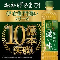【機能性表示食品】サントリー 緑茶 伊右衛門 濃い味 600ml 1箱（24本入）