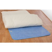 サンファミリー 洗える防ダニ除湿シート ブルー a25017 1セット(2枚組)