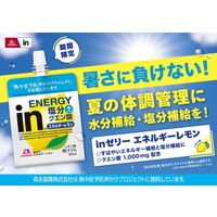 inゼリー（インゼリー）エネルギーレモン 栄養補助ゼリー 1セット（1個×6） 森永製菓