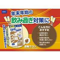 DHC 濃縮ウコン（60日分） 1袋（120粒） ディーエイチシー サプリメント