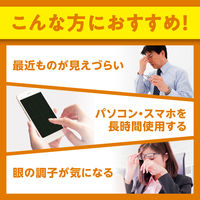 DHC ルテイン光対策（20日分） 1セット（1袋（20粒）×3） 機能性表示食品 ディーエイチシー サプリメント