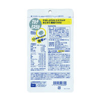 DHC マルチミネラル 60日分×2袋 鉄分・亜鉛・カルシウム・マグネシウム ディーエイチシー サプリメント【栄養機能食品】